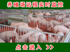 Զ��ʵʱ���